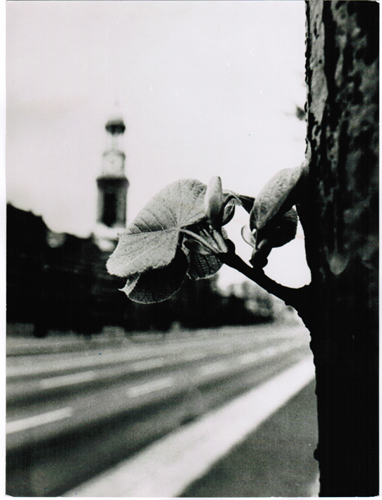 Frühling in Hamburg